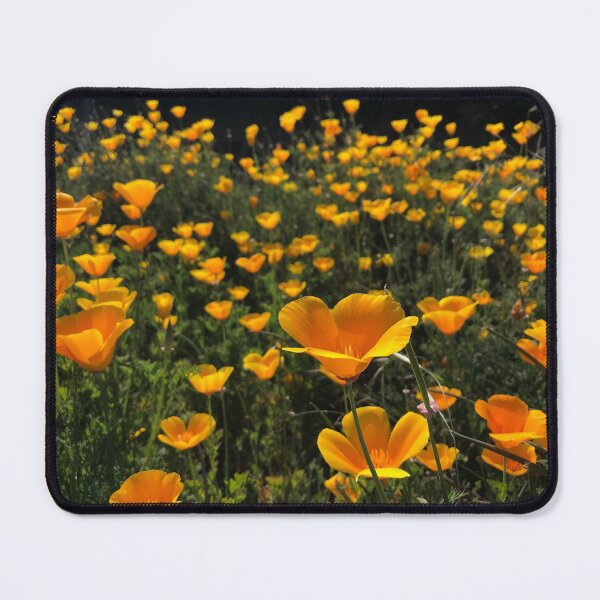 Item preview, Poppy Days designed and sold by TrilliumDesign.