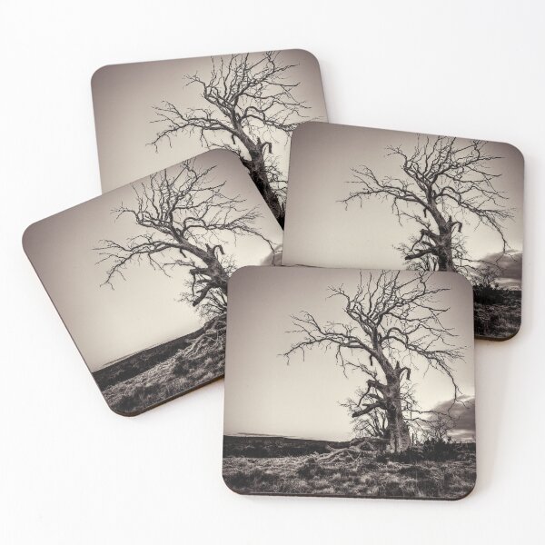 Item preview, Lone Tree at Miena designed and sold by Huskyyy Designs.