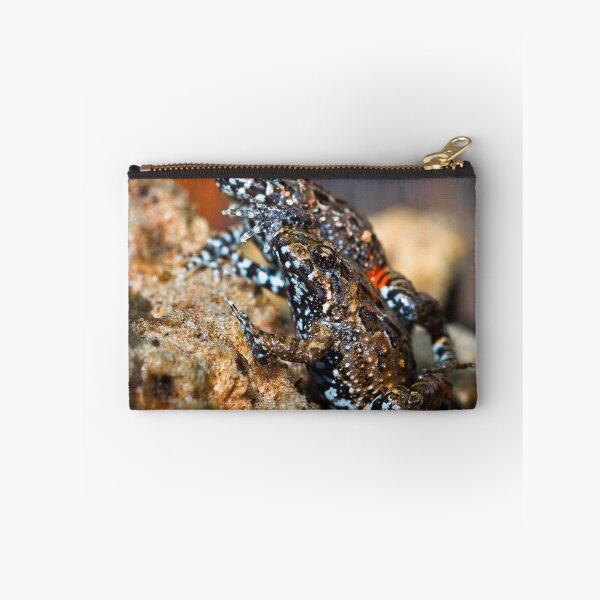 Item preview, Tusked Frogs (Adelotus brevis) designed and sold by Normf.