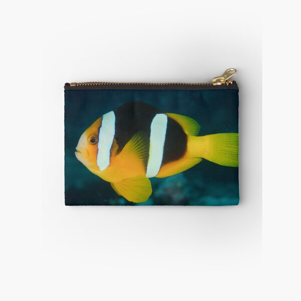Item preview, Clark's Anemonefish - Amphiprion clarkii designed and sold by Andrew Trevor-Jones.
