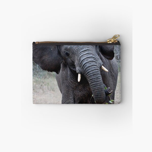 Item preview, Charge ! designed and sold by Michael Moss Photography.