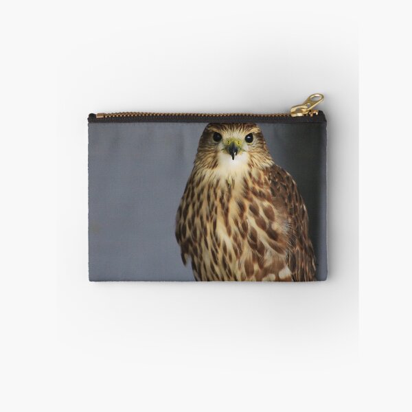 Item preview, Merlin Falcon designed and sold by Alyce Taylor.