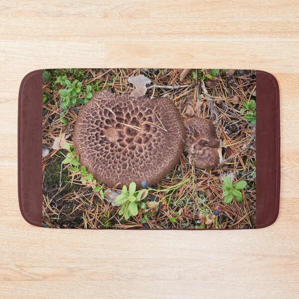 Item preview, Sarcodon duo designed and sold by Jouko Lehto Photography.