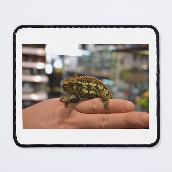 Item preview, Chameleon designed and sold by saravana.