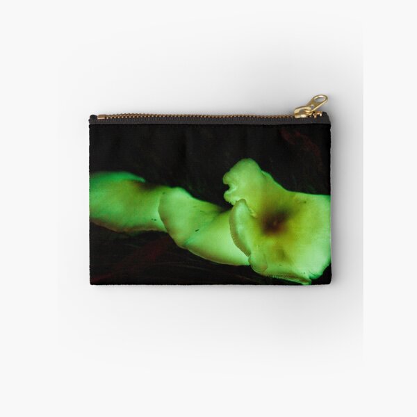 Item preview, Luminescent Fungi, Blue Mountains, NSW. designed and sold by Andy Newman.