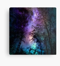 Night sky 1 Metal Print