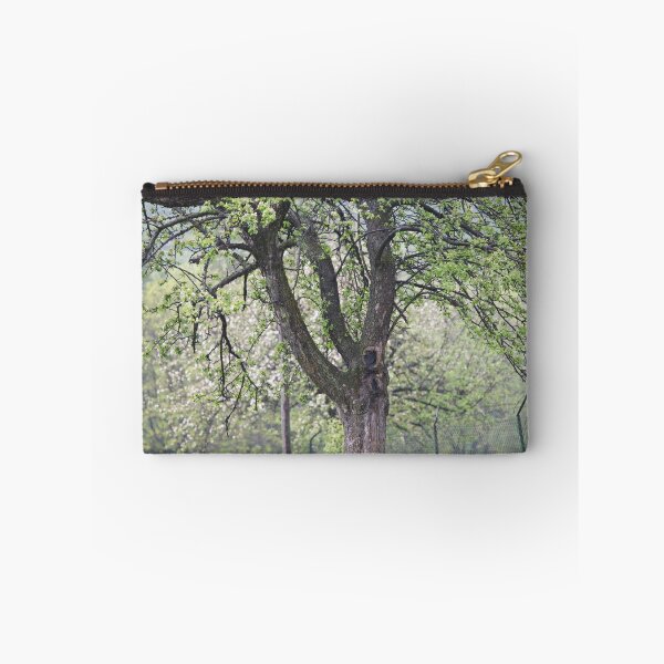 Item preview,  Branch of a blooming apple tree . Tylmanowa . Dunajec River Valley . Poland . by Brown Sugar . Views (209)  Thank you friends !!! designed and sold by © Andrzej Goszcz,M.D. Ph.D.