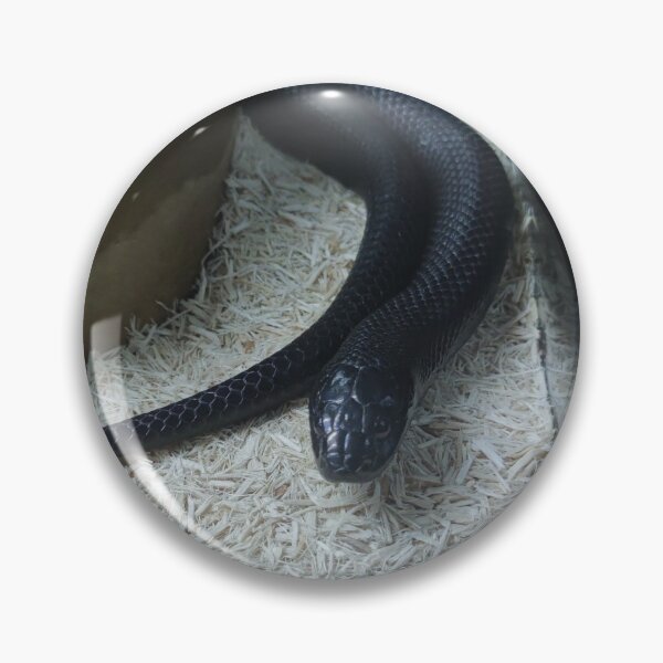 Item preview, Mexican king black snake designed and sold by saravana.