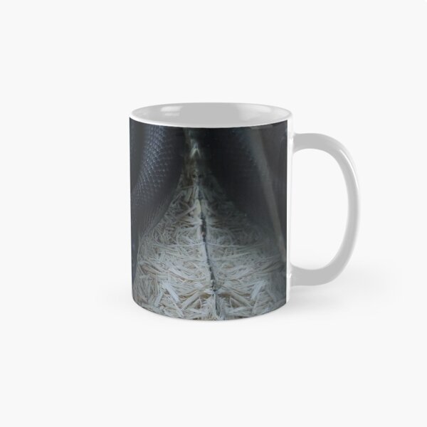 Item preview, Serpiente negra rey mexicana designed and sold by saravana.