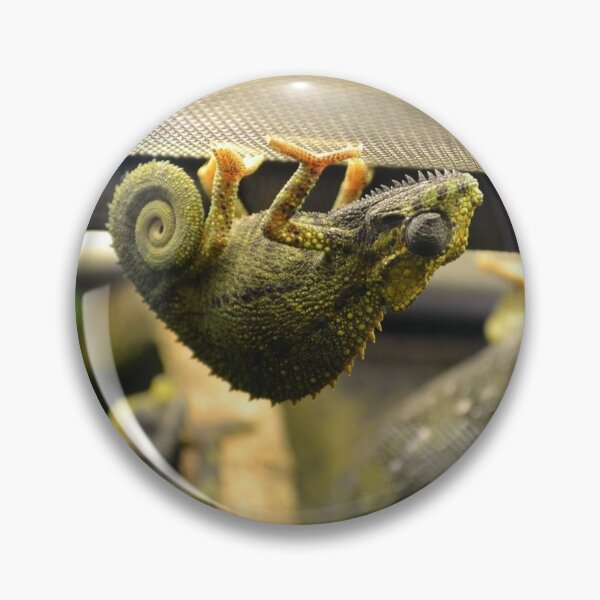 Item preview, Chameleon hanging out designed and sold by saravana.