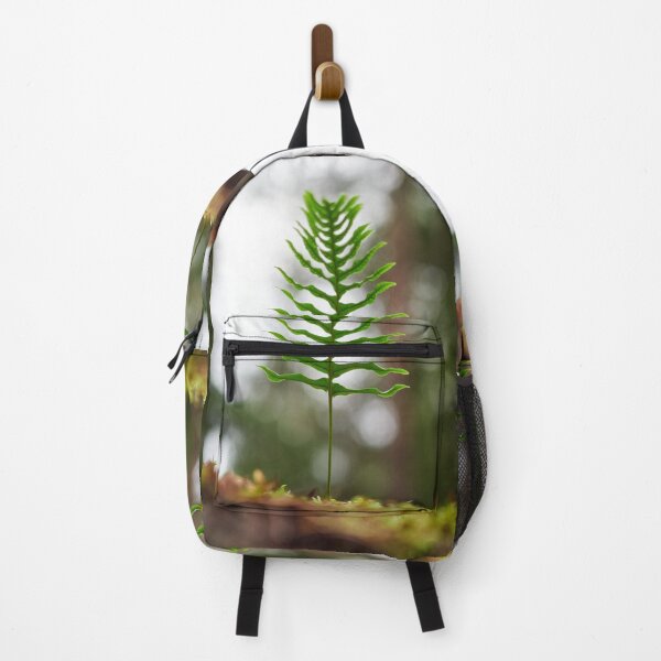 Item preview, Rising to the sky. Common polypody designed and sold by Jouko Lehto Photography.
