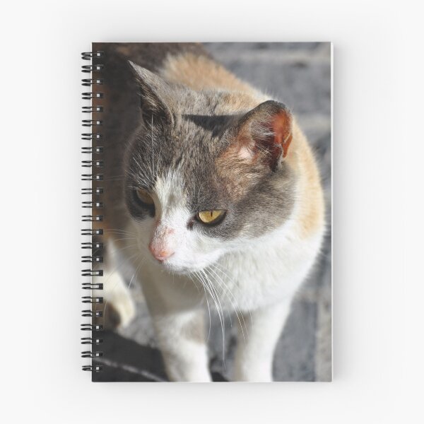 Item preview, Gato callejero designed and sold by malsan.