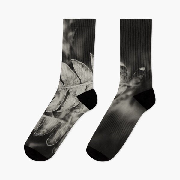 Item preview, Steps of the poet. Bracken bw designed and sold by Jouko Lehto Photography.