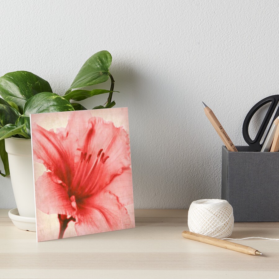 "Blushing Deeply" Art Board Print by AuntDot Redbubble