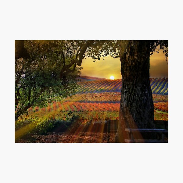 Item preview, Radiant Vineyard designed and sold by Stephanie Laird.
