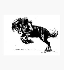 Friesian Stallion in Ink Photographic Print