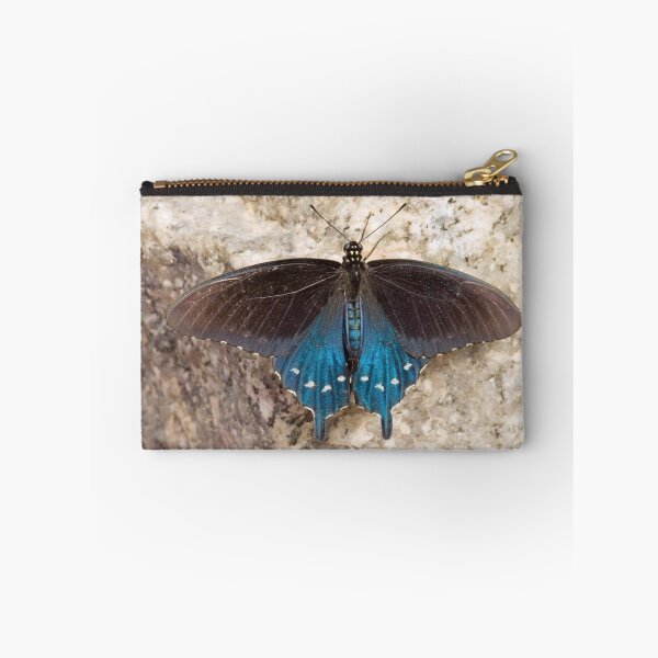Item preview, Pipevine swallowtail designed and sold by Thaddeus Zajdowicz.