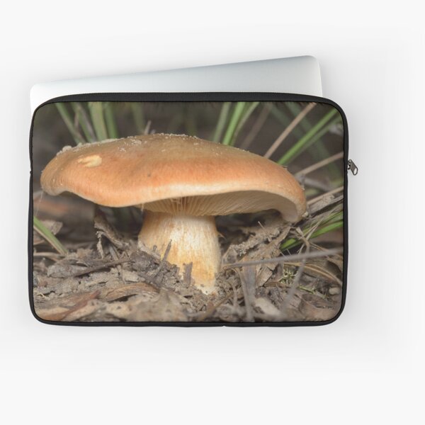 Mushroom - Cortinarius sp. Laptop Sleeve