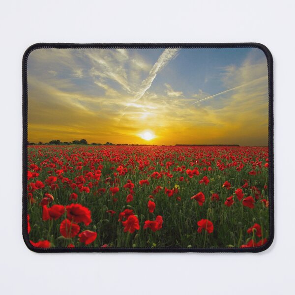 Item preview, Poppies and sunset designed and sold by fourretout.
