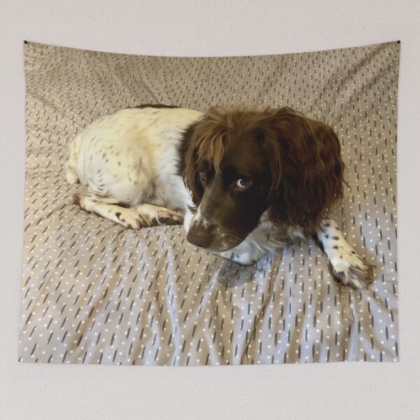 Item preview, Brock and a new duvet designed and sold by JohnDalkin.
