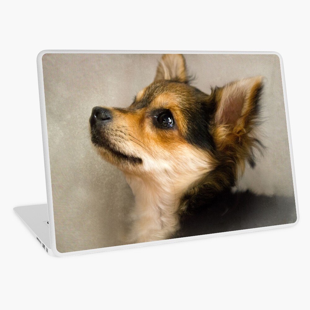 Item preview, Laptop Skin designed and sold by believer9.