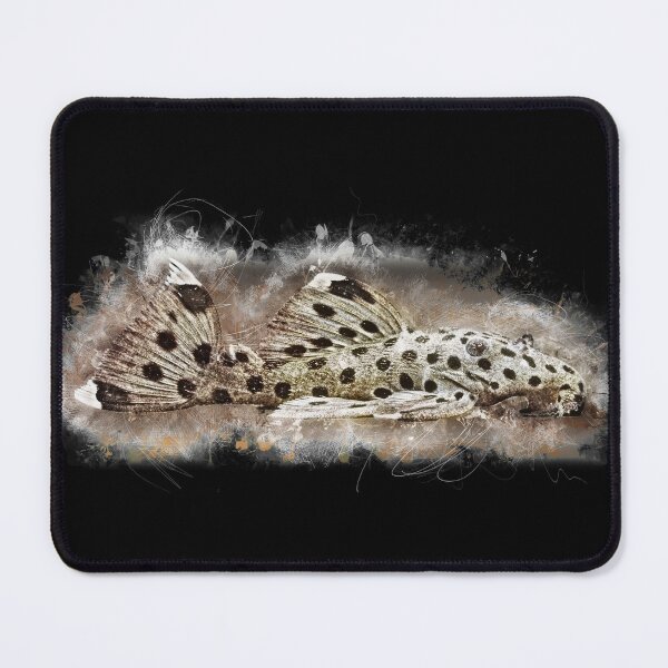 Item preview, L 264 whitetip proboscis - Leporacanthicus joselimai designed and sold by AquariumLutter.