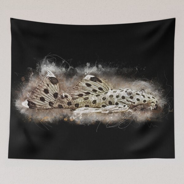 Item preview, L 264 whitetip proboscis - Leporacanthicus joselimai designed and sold by AquariumLutter.