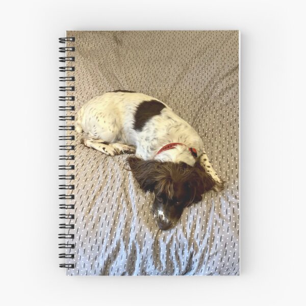 Item preview, Brock on a bed designed and sold by JohnDalkin.