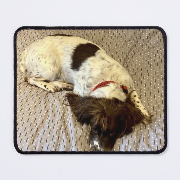 Item preview, Brock on a bed designed and sold by JohnDalkin.