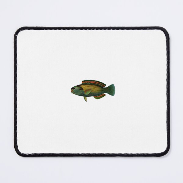 Item preview, Fish Pseudocarp 1909 designed and sold by BelleZeare.