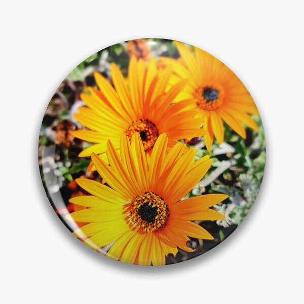 Item preview, ORANGE DAISIES designed and sold by Steffi August.
