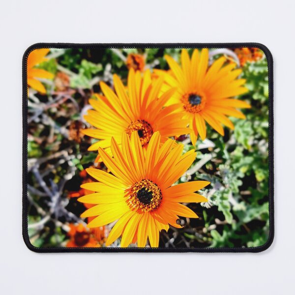 Item preview, ORANGE DAISIES designed and sold by Steffi August.