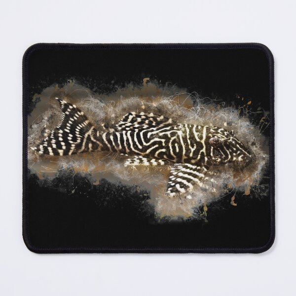 Item preview, L333 King Tiger Armor Catfish - Hypancistrus spec. designed and sold by AquariumLutter.