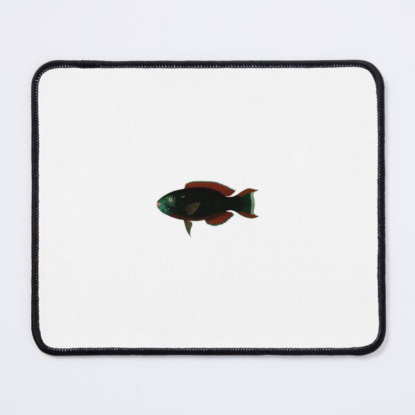 Item preview, Fish Pseudocarpus 1909 designed and sold by BelleZeare.