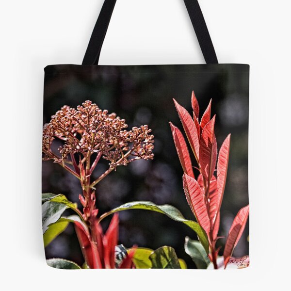 Artikelvorschau, Red Foliage and Seeds entworfen und verkauft von Wolf Sverak Photography.