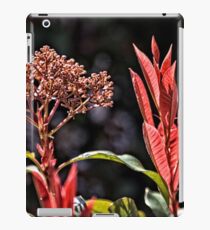 Red Foliage and Seeds iPad Case/Skin