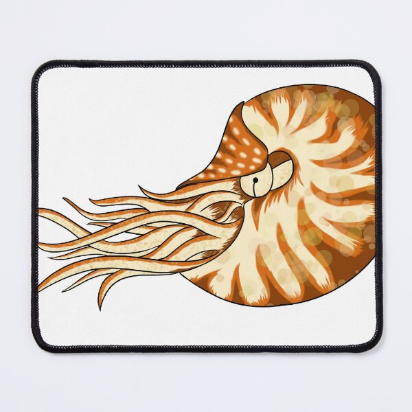 Item preview, Nautilus designed and sold by ZepherLoo.