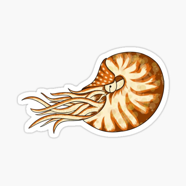 Item preview, Nautilus designed and sold by ZepherLoo.