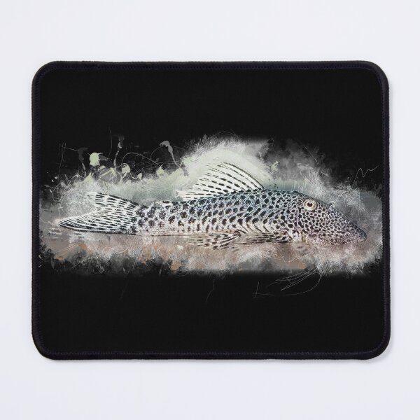 Item preview, L445 Spotted Mountain Catfish - Chaetostoma joropo designed and sold by AquariumLutter.