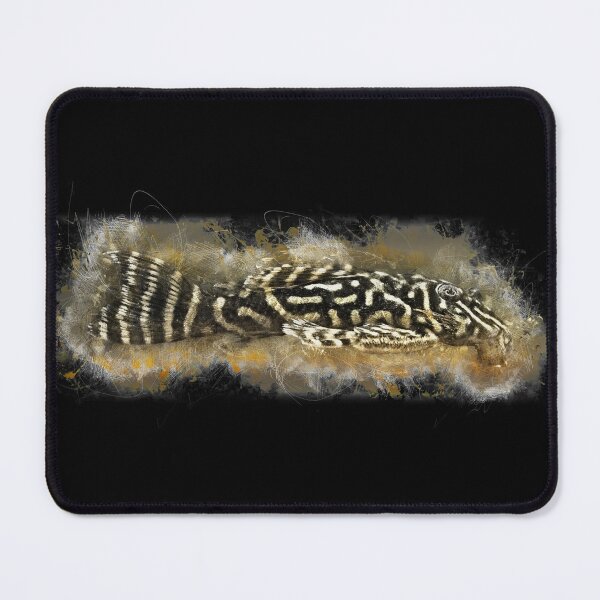 Item preview, L340 Mega Clown - Hypancistrus sp. designed and sold by AquariumLutter.