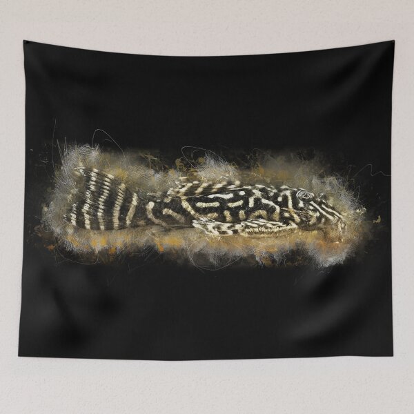 Item preview, L340 Mega Clown - Hypancistrus sp. designed and sold by AquariumLutter.