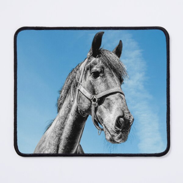 Item preview, Monochrome horse head against a blue sky designed and sold by PicsByTony.