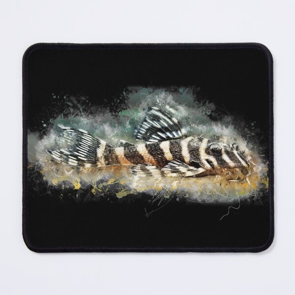 Item preview, L 401 Alenquer Zebra Catfish - Hypancistrus sp. designed and sold by AquariumLutter.