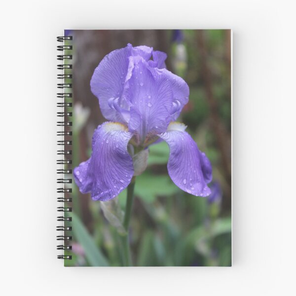 Artikelvorschau, "Regen geküsst Iris" entworfen und verkauft von Gail Jones.