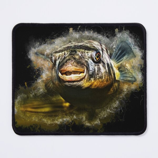 Item preview, Nile puffer fish - Tetraodon lineatus fahaka designed and sold by AquariumLutter.