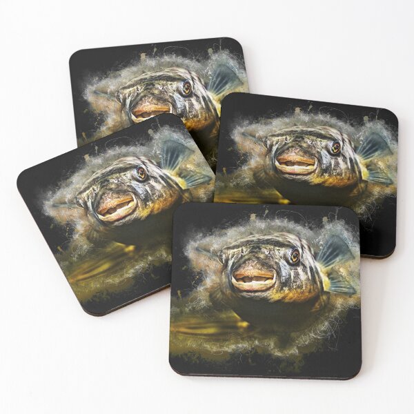 Item preview, Nile puffer fish - Tetraodon lineatus fahaka designed and sold by AquariumLutter.
