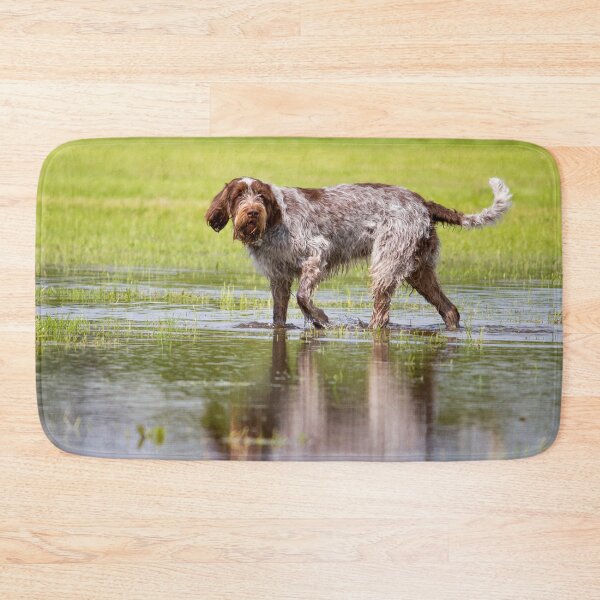 Artikelvorschau, Wasserjäger Spinone entworfen und verkauft von FOLK ART FUSION by heidiannemorris.