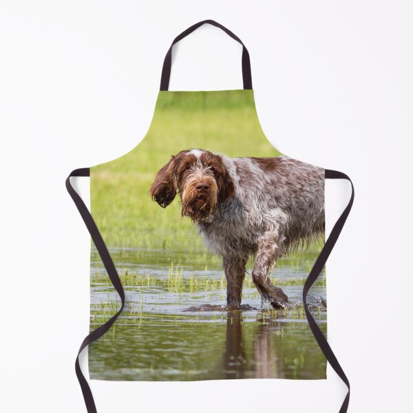 Item preview, Water hunter Spinone designed and sold by FOLK ART FUSION by heidiannemorris.