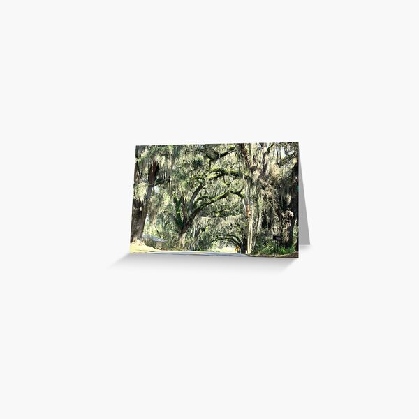 Item preview, Floral City, Florida designed and sold by AuntDot.