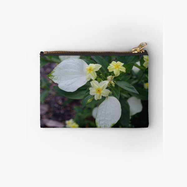 Aperçu de l'œuvre Dwarf yellow mussaenda créée et vendue par B. Randi Bailey.